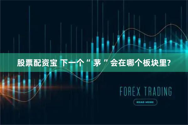 股票配资宝 下一个“ 茅 ”会在哪个板块里?