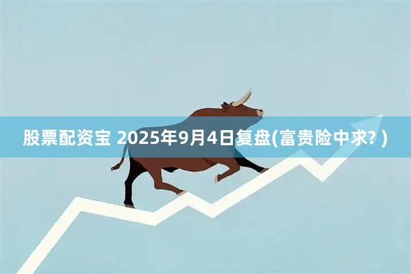 股票配资宝 2025年9月4日复盘(富贵险中求? )